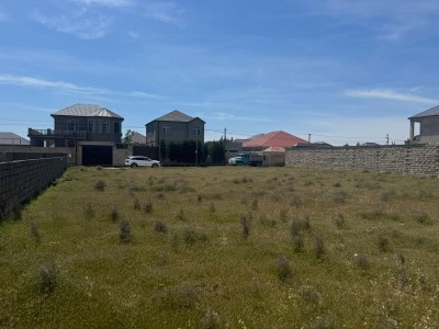 image 376504