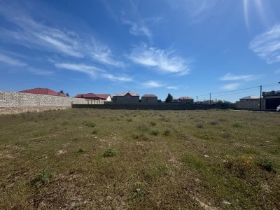 image 376504