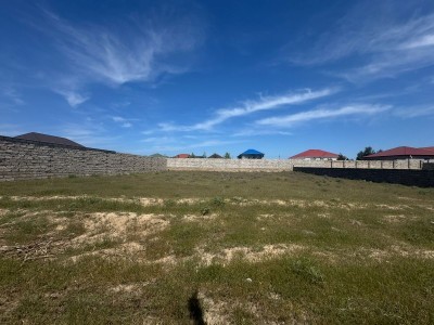 image 376504