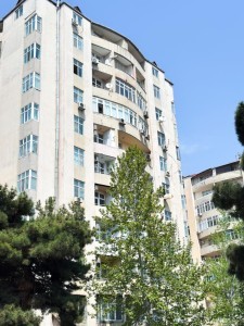image 376505