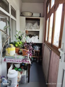 image 376506