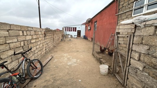 image 376509