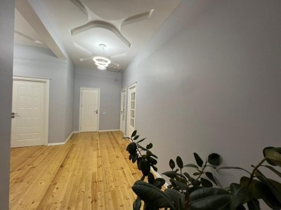 image 376519