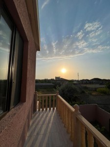 image 376519