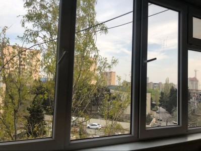 image 376521