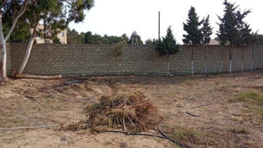 image 376527