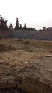 image 376527
