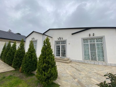 image 376537