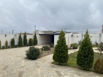 image 376537