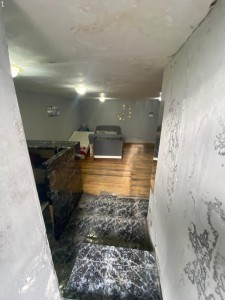 image 376539