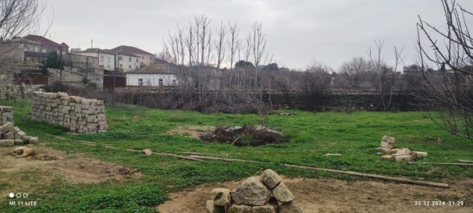 image 376550