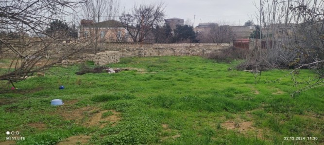 image 376550