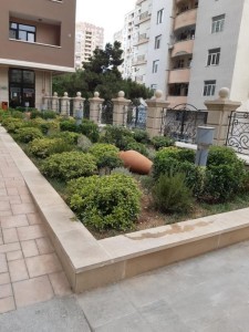 image 376553