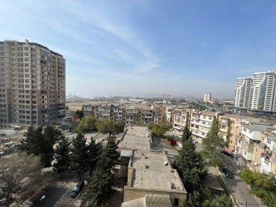 image 376555