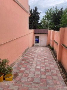 image 376559