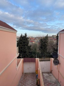 image 376559
