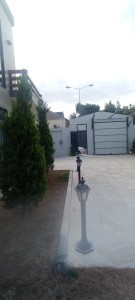 image 376560