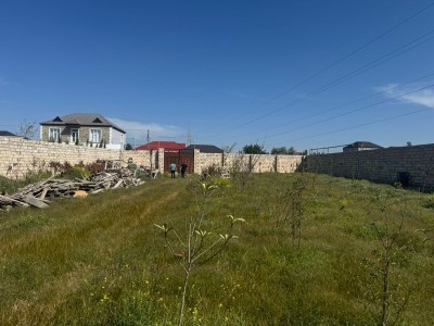 image 376564