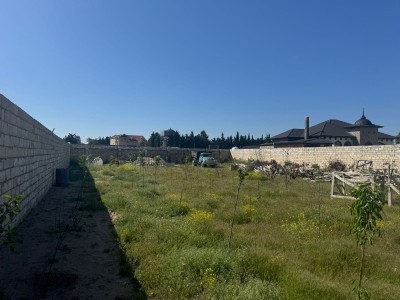 image 376564
