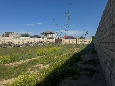 image 376564
