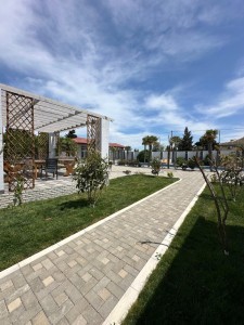 image 376584