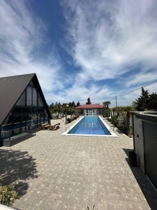image 376584