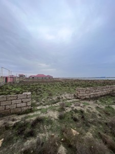 image 376590