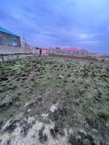 image 376590