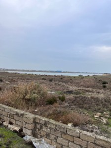 image 376590