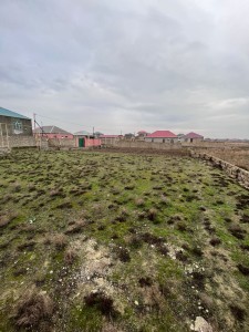 image 376590