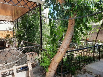 image 376614