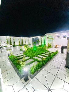 image 376617