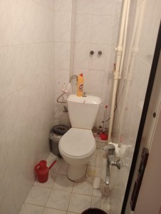 image 376637