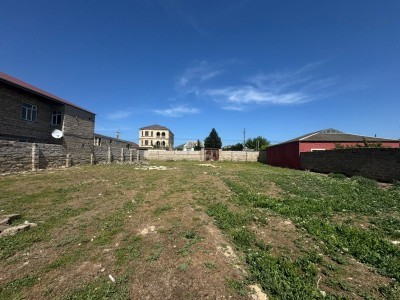 image 376646