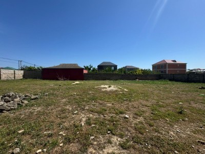 image 376646