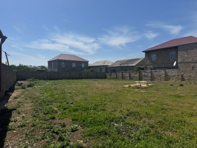 image 376646