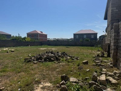 image 376646