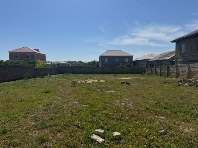 image 376646