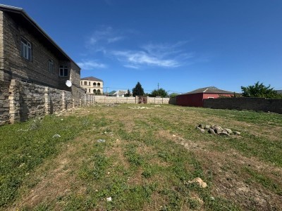 image 376646