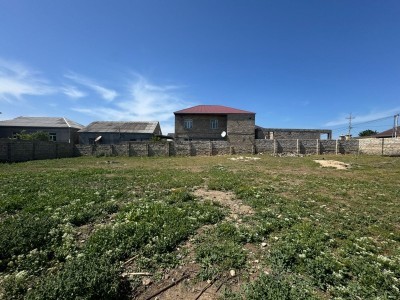 image 376646