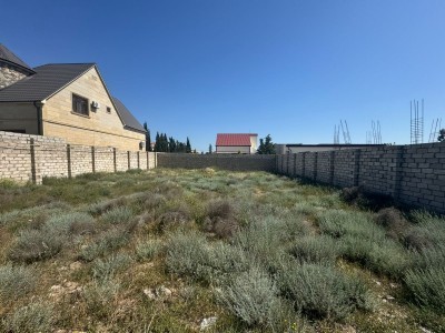 image 376649