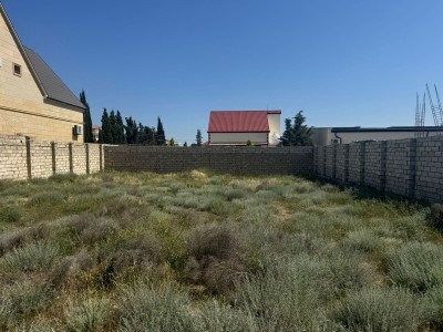 image 376649