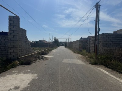 image 376649