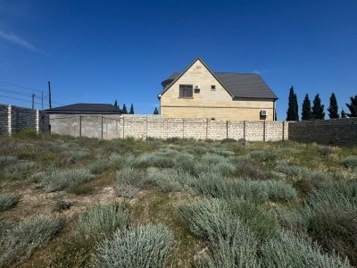 image 376649