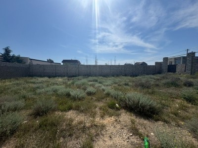 image 376649