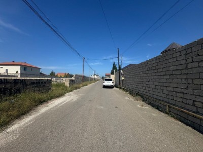 image 376649