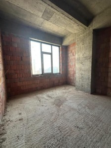 image 376654