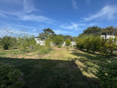 image 376672