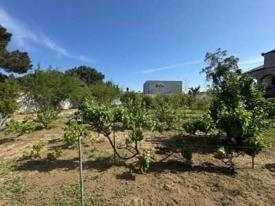 image 376672