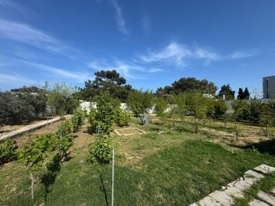 image 376672
